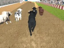 Arg Bull Racing